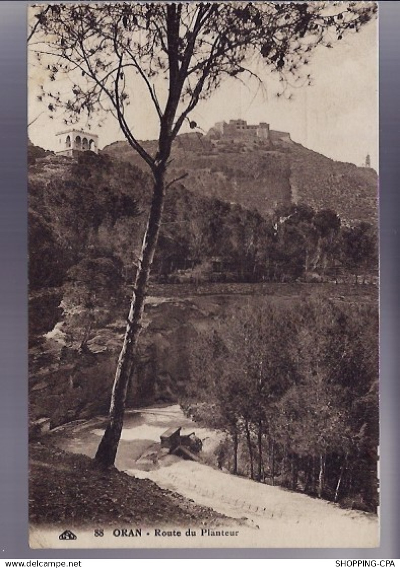 Algérie - Oran - Route du planteur