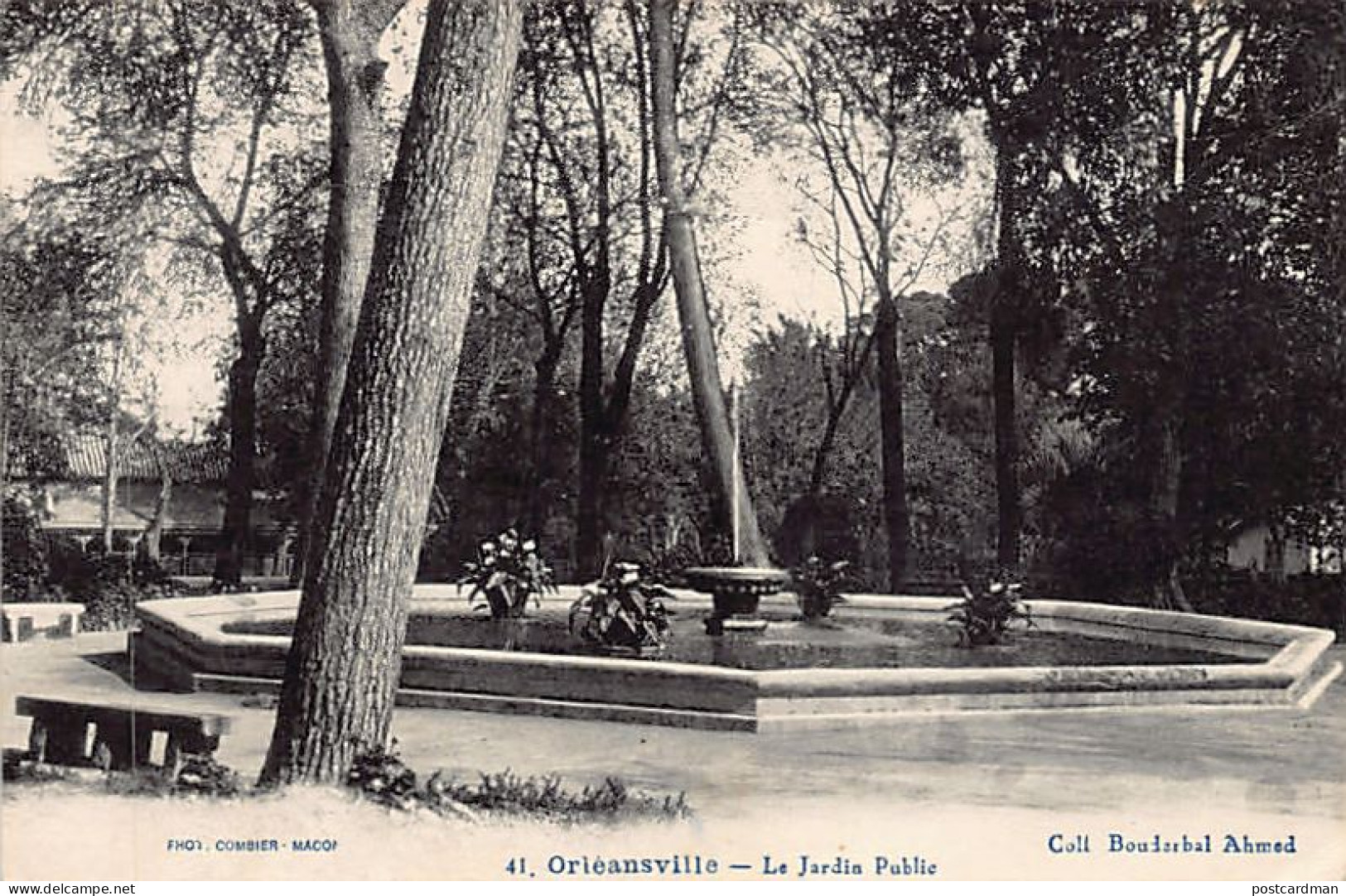 Algérie - ORLÉANSVILLE Chlef - Le jardin public - Ed. Ahmed Bouderbal 41