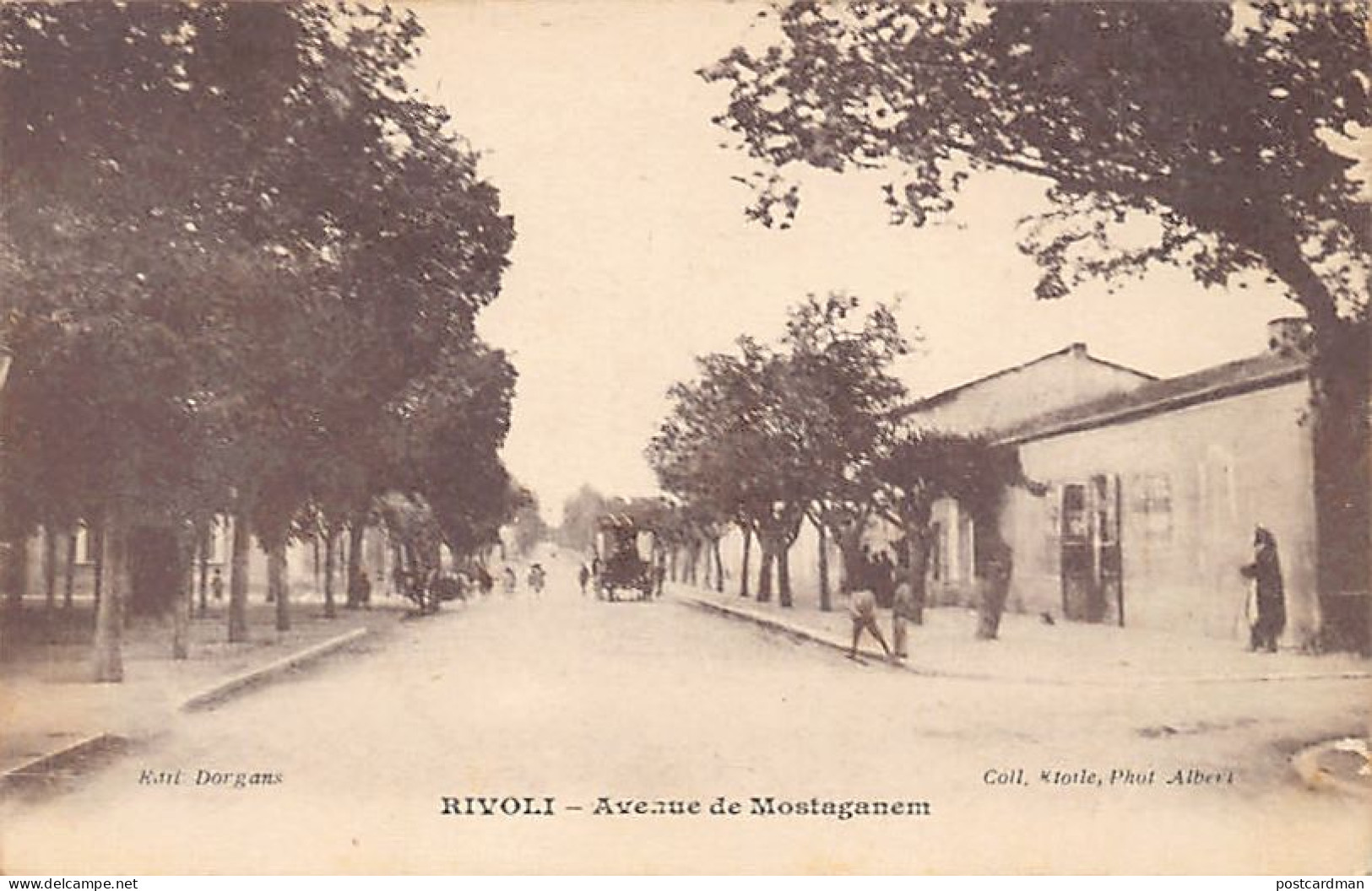 Algérie - RIVOLI Hassi Mameche - Avenue de Mostagadem