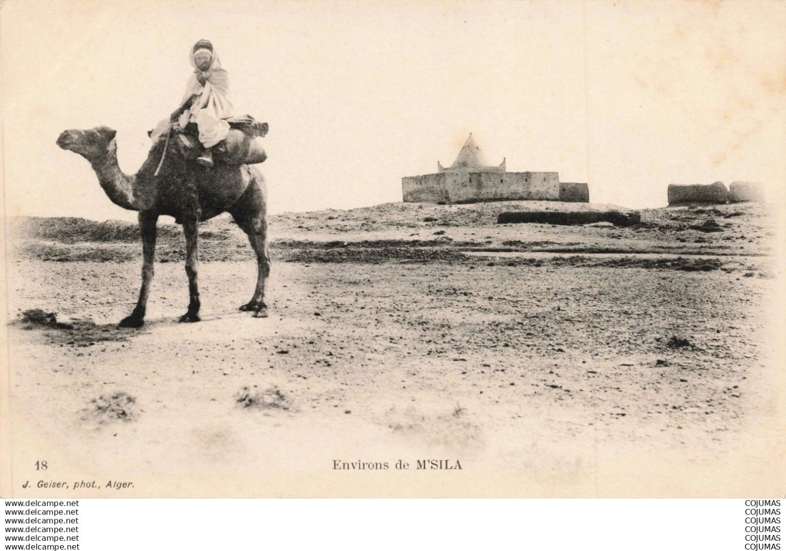 ALGERIE  - S23624 -  Environs de M'Sila