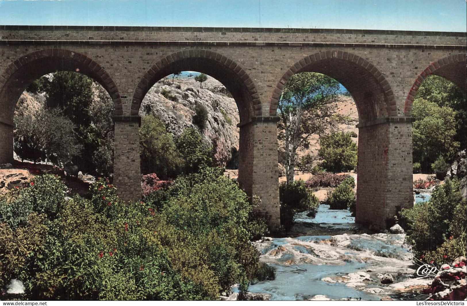ALGERIE - Saïda - Gorges du Vieux Saïda - Pont - Arches - Rivière - Végétation - Carte Postale