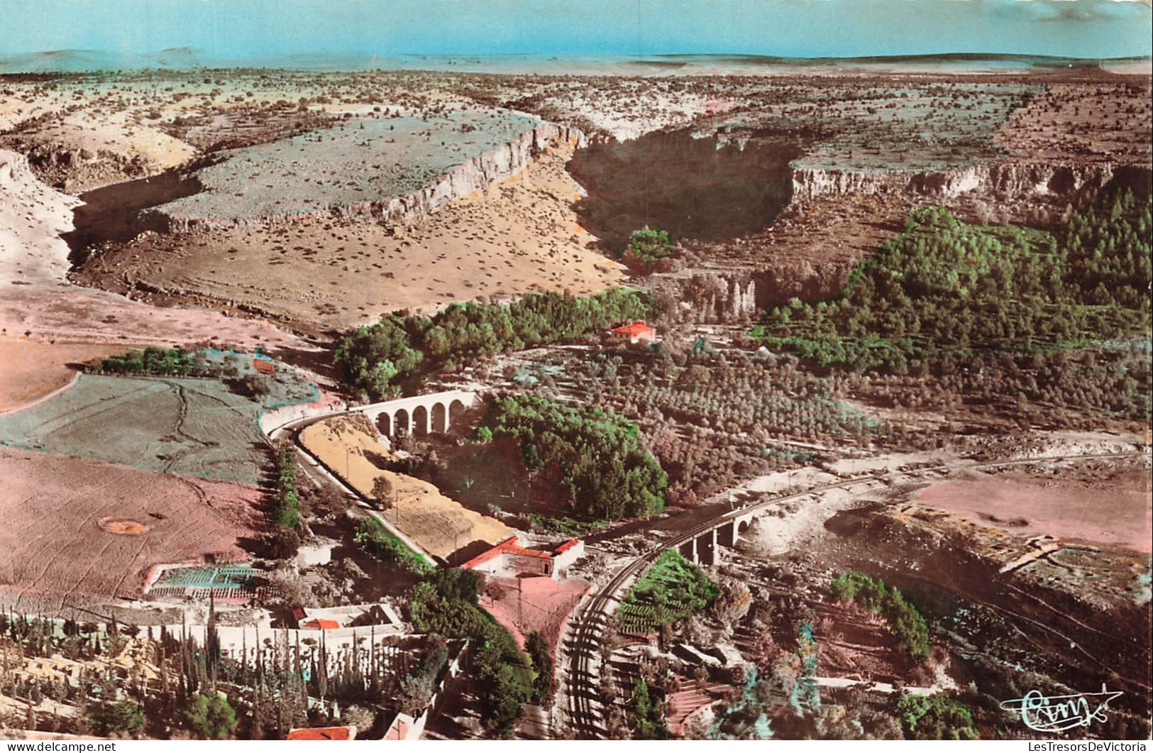 ALGERIE - Saïda - Vue aérienne - Pont du Vieux Saïda - Chemin de fer - Falaises - Végétation - Carte Postale