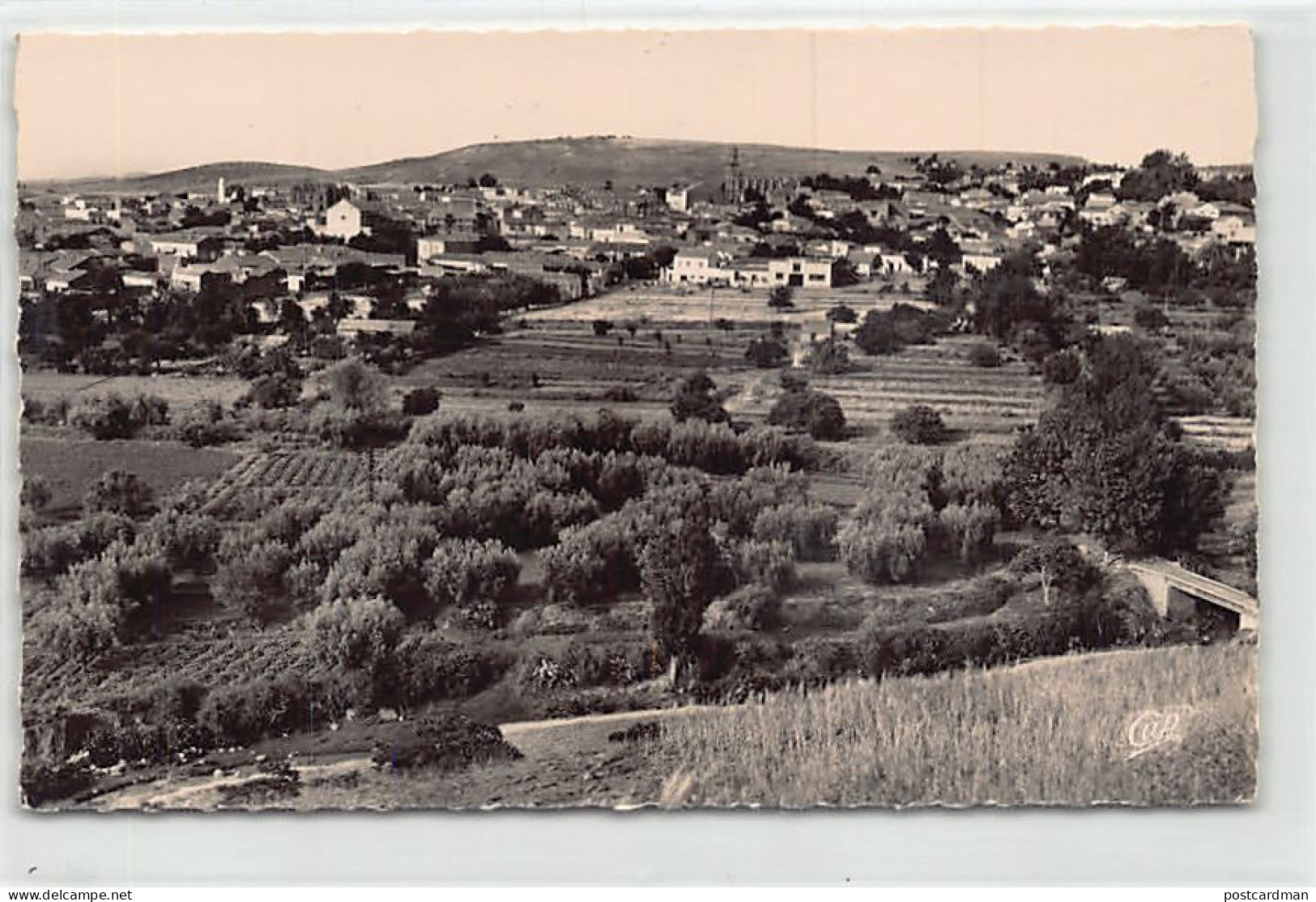 Algérie - SAÏDA - Vue générale - Ed. C.A.P. 1501