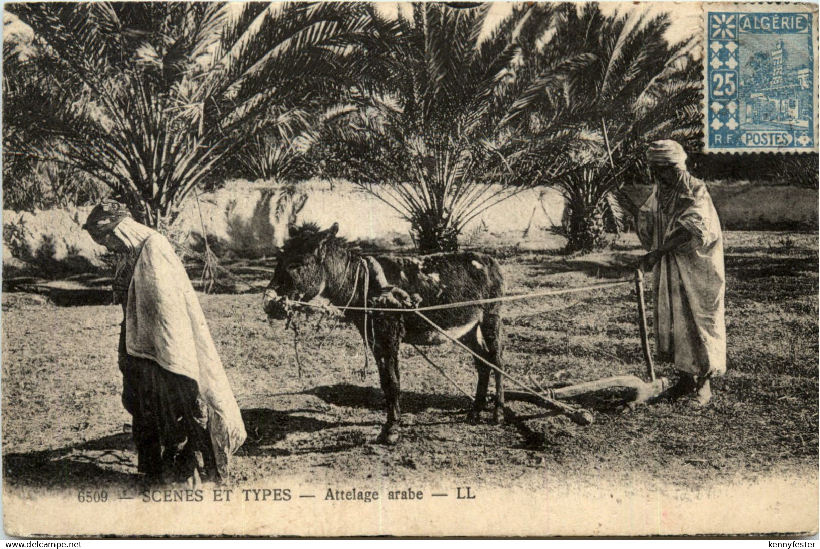 Algerie - Scenes et Types