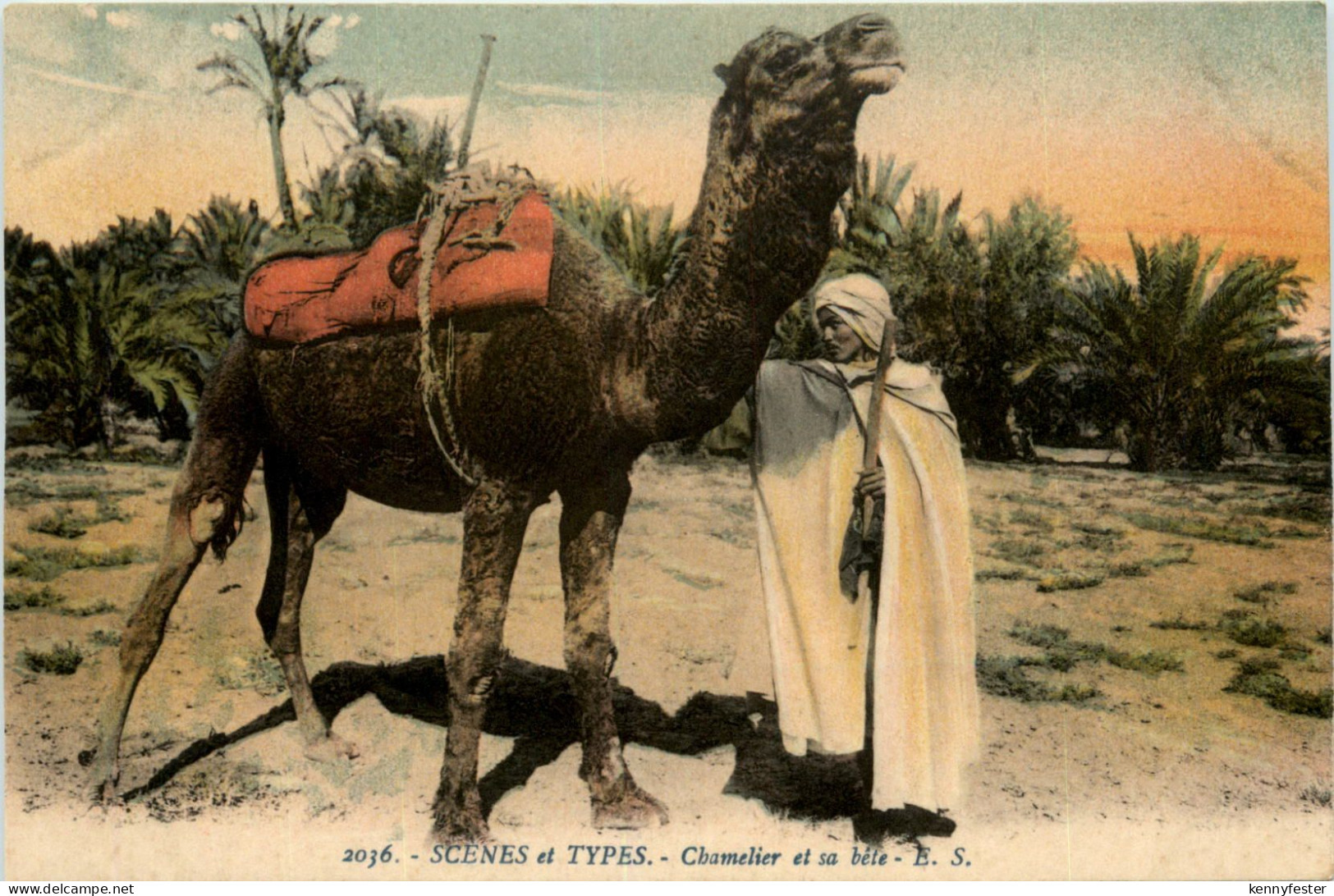 Algerie - Scenes et Types