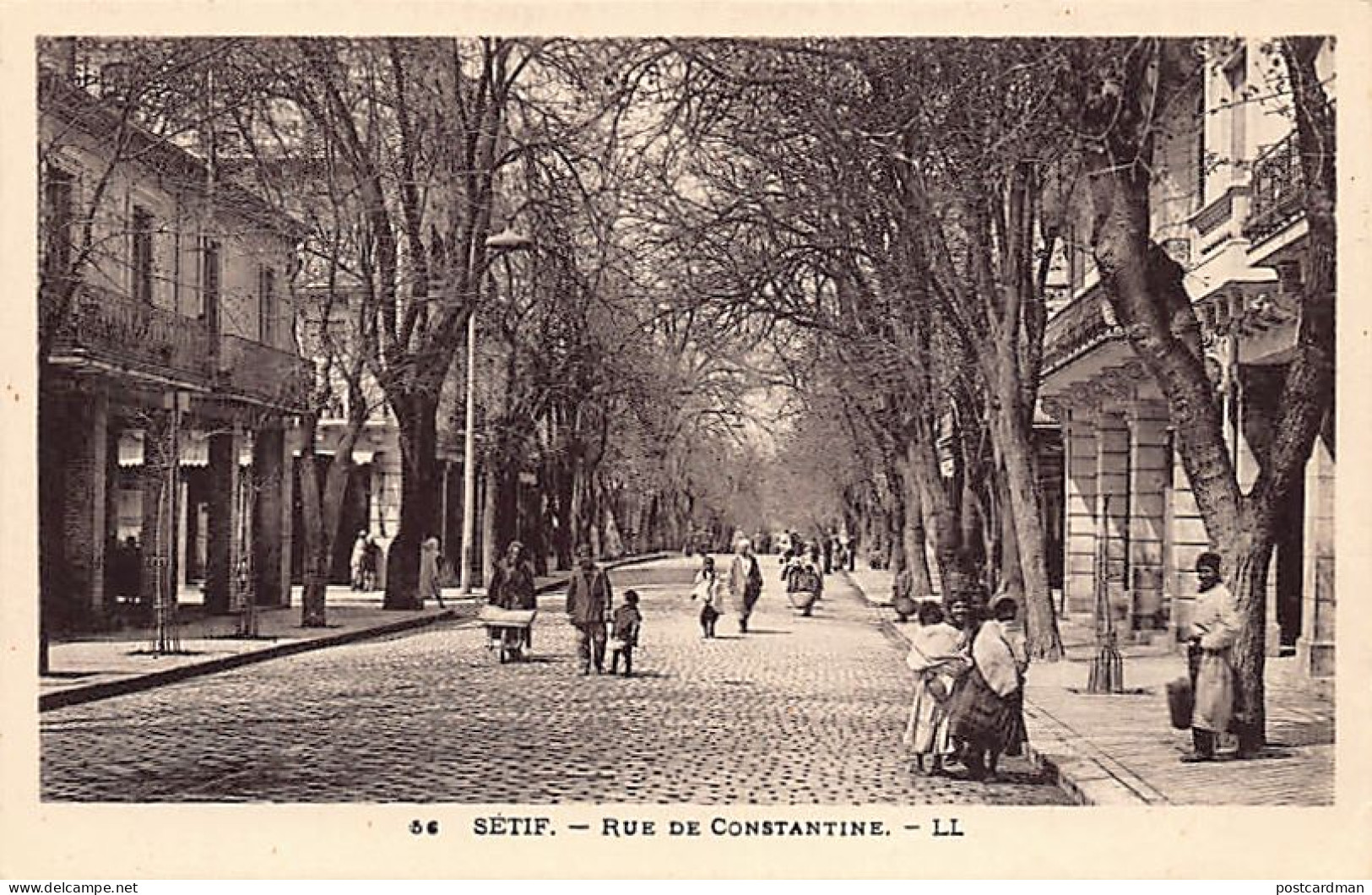 Algérie - SETIF - Rue de Constantine
