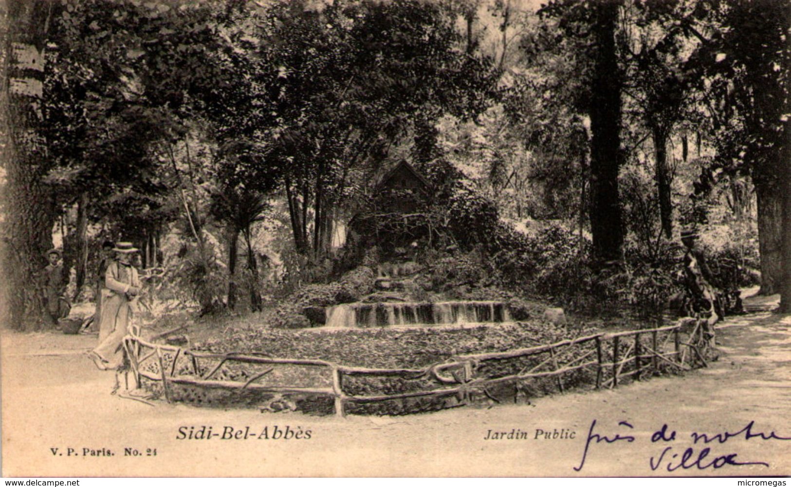 Algérie - SIdi-Bel-Abbès - Jardin Public