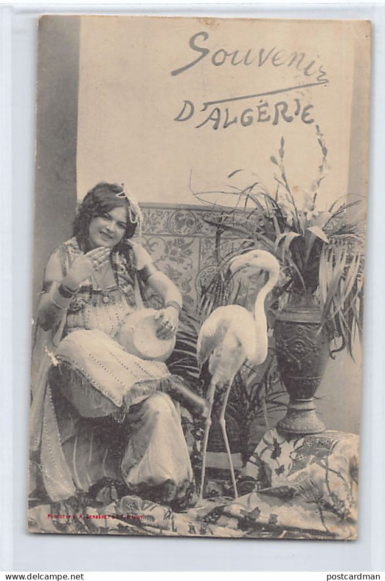 Algérie - Souvenir d'Algérie - Femme au tambourin et Flamant Rose - Ed. A. Bergeret