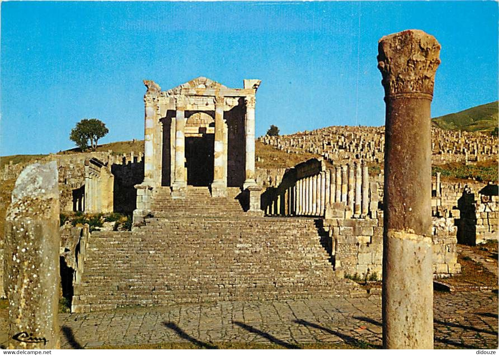 Algérie - Tébessa - Les Ruines Romaines - CPM - Carte Neuve - Voir Scans Recto-Verso