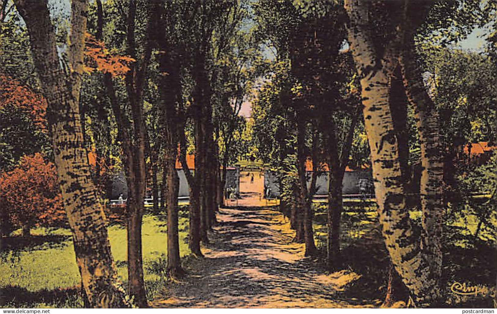 Algérie - TIARET - La Jumenterie - Ed. Combier