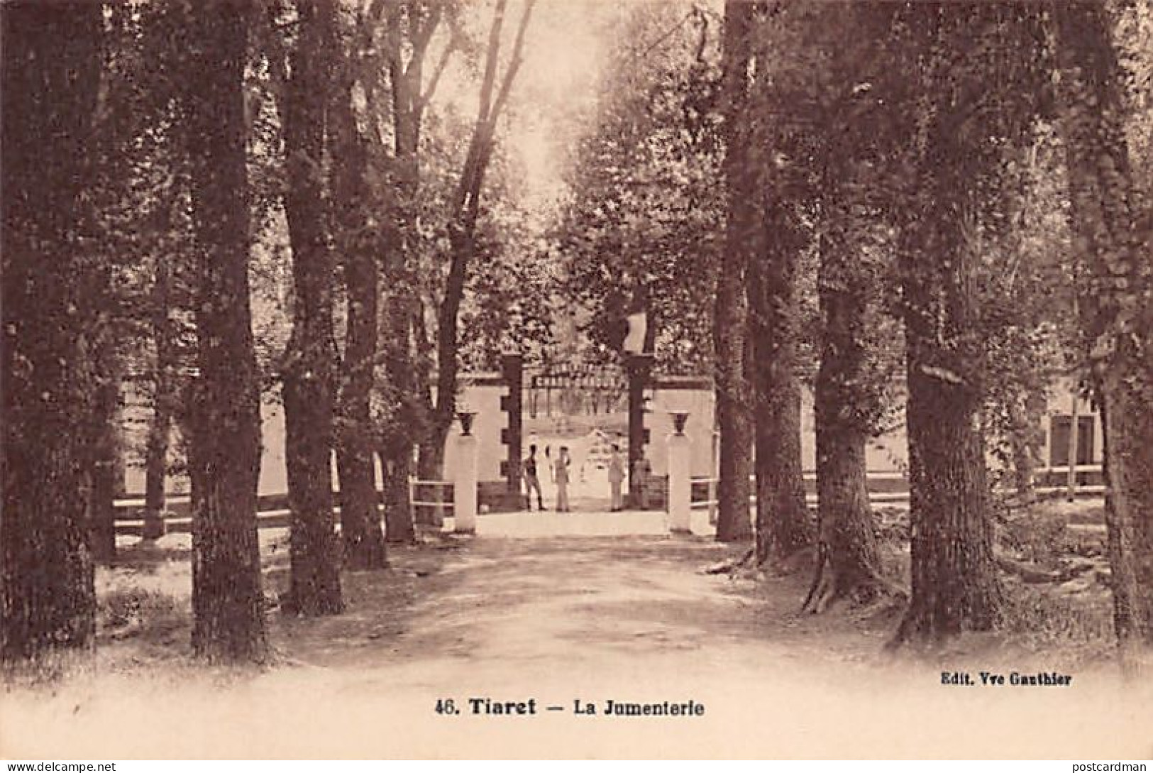 Algérie - TIARET - La jumenterie - Ed. Veuve Gauthier 46