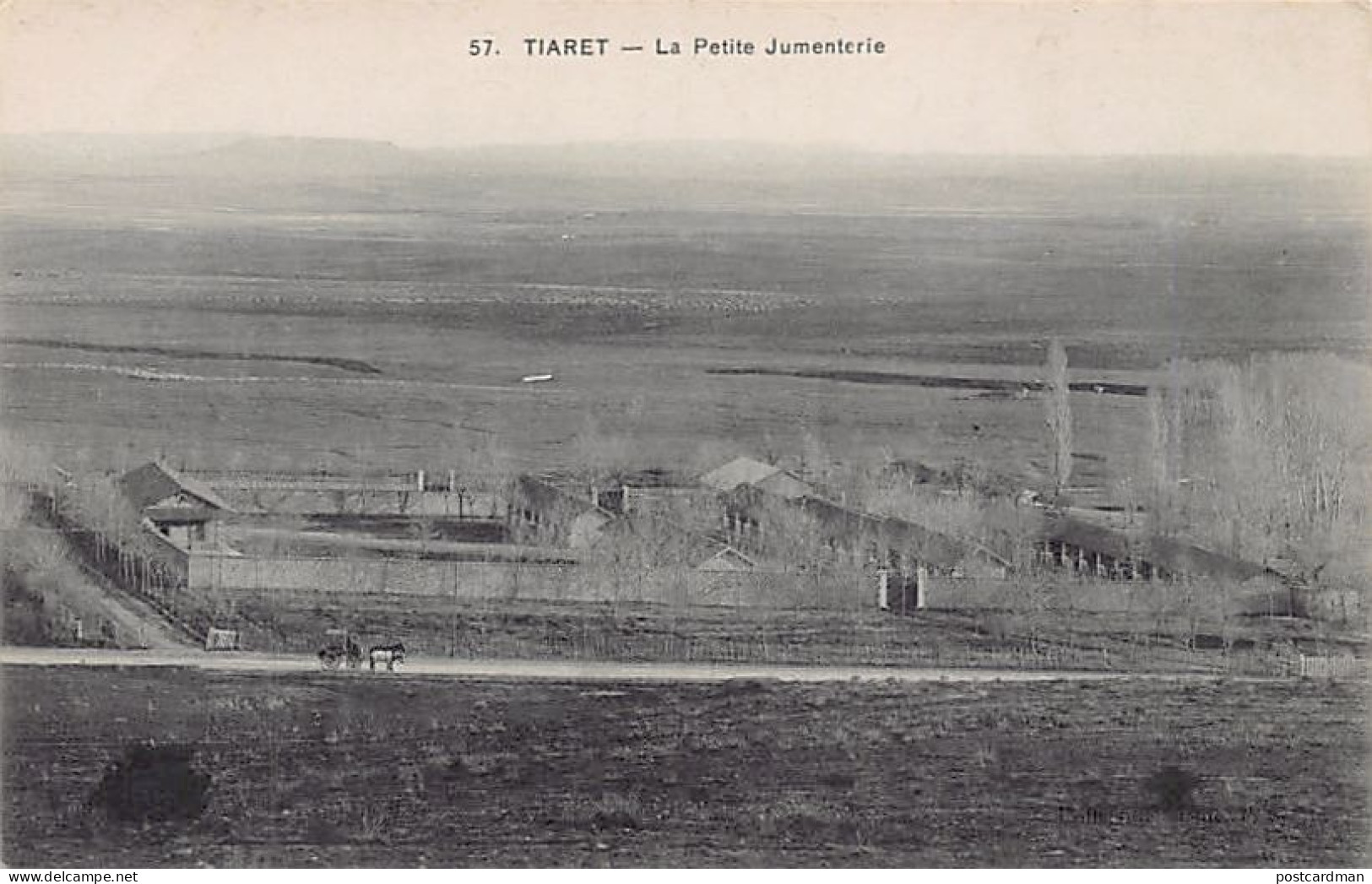 Algérie - TIARET - La petite jumenterie - Ed. Collection Idéale P.S. 57