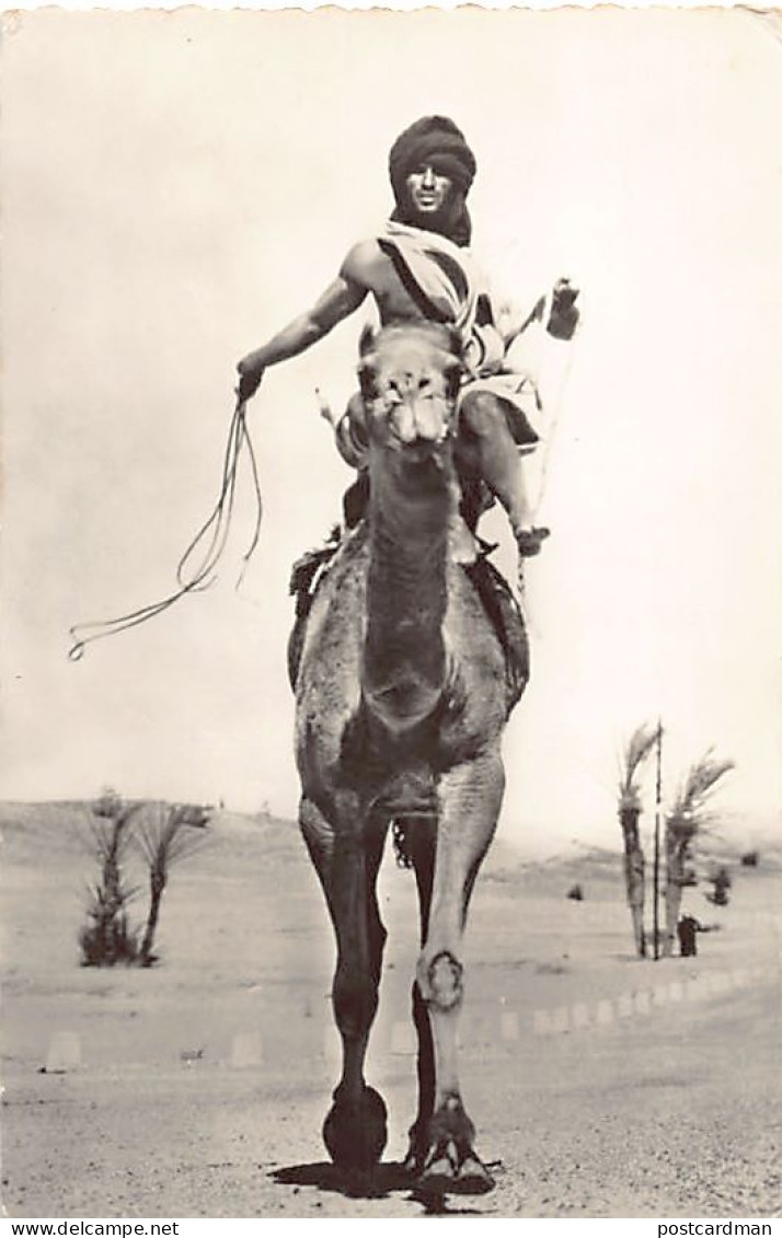 Algérie - TINDOUF Sahara Occidental - Nomade et sa monture - Photo Jean Manuel - Ed. Piget 6