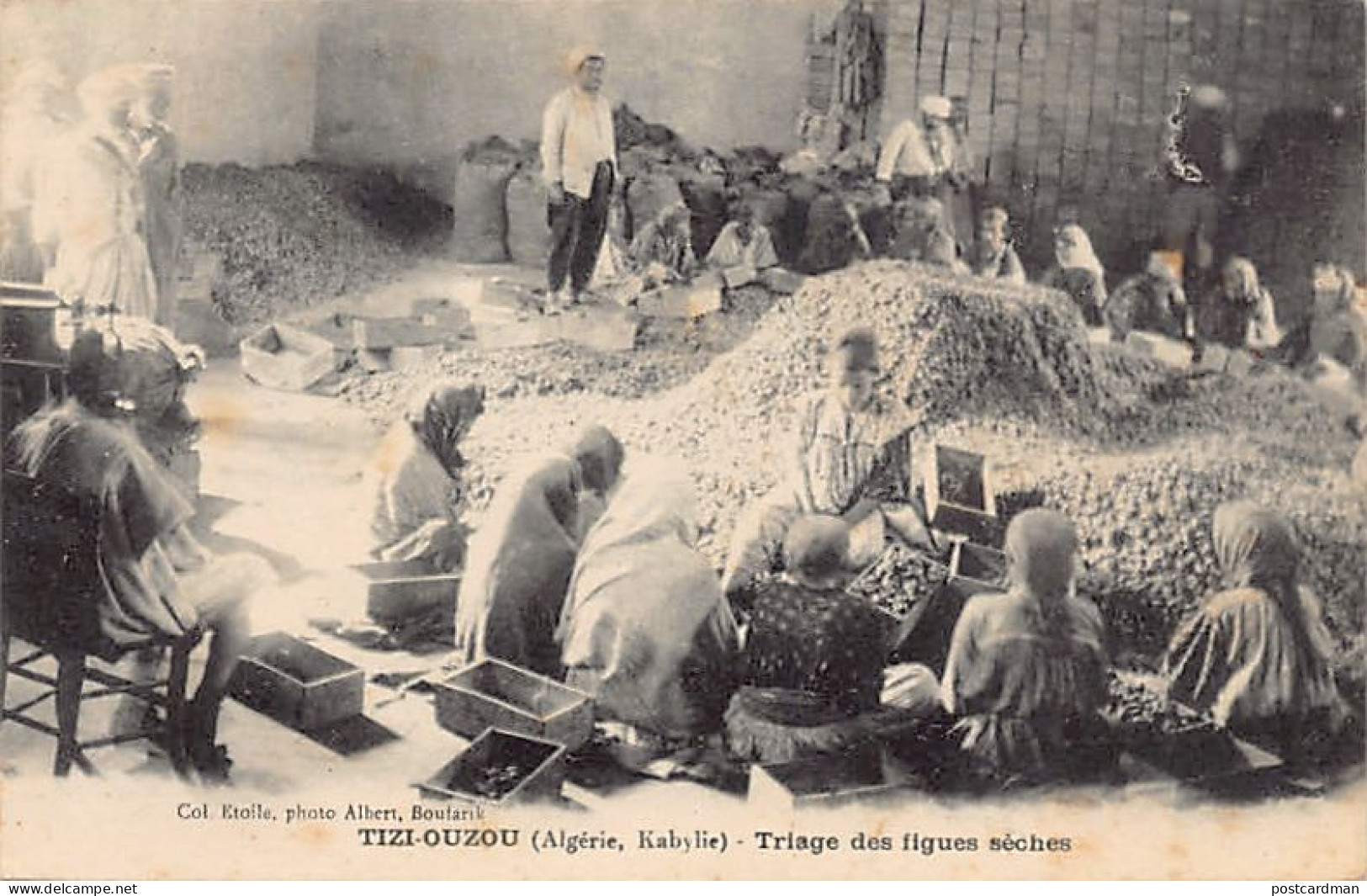Algérie - TIZI OUZOU - Triage des figues sèches
