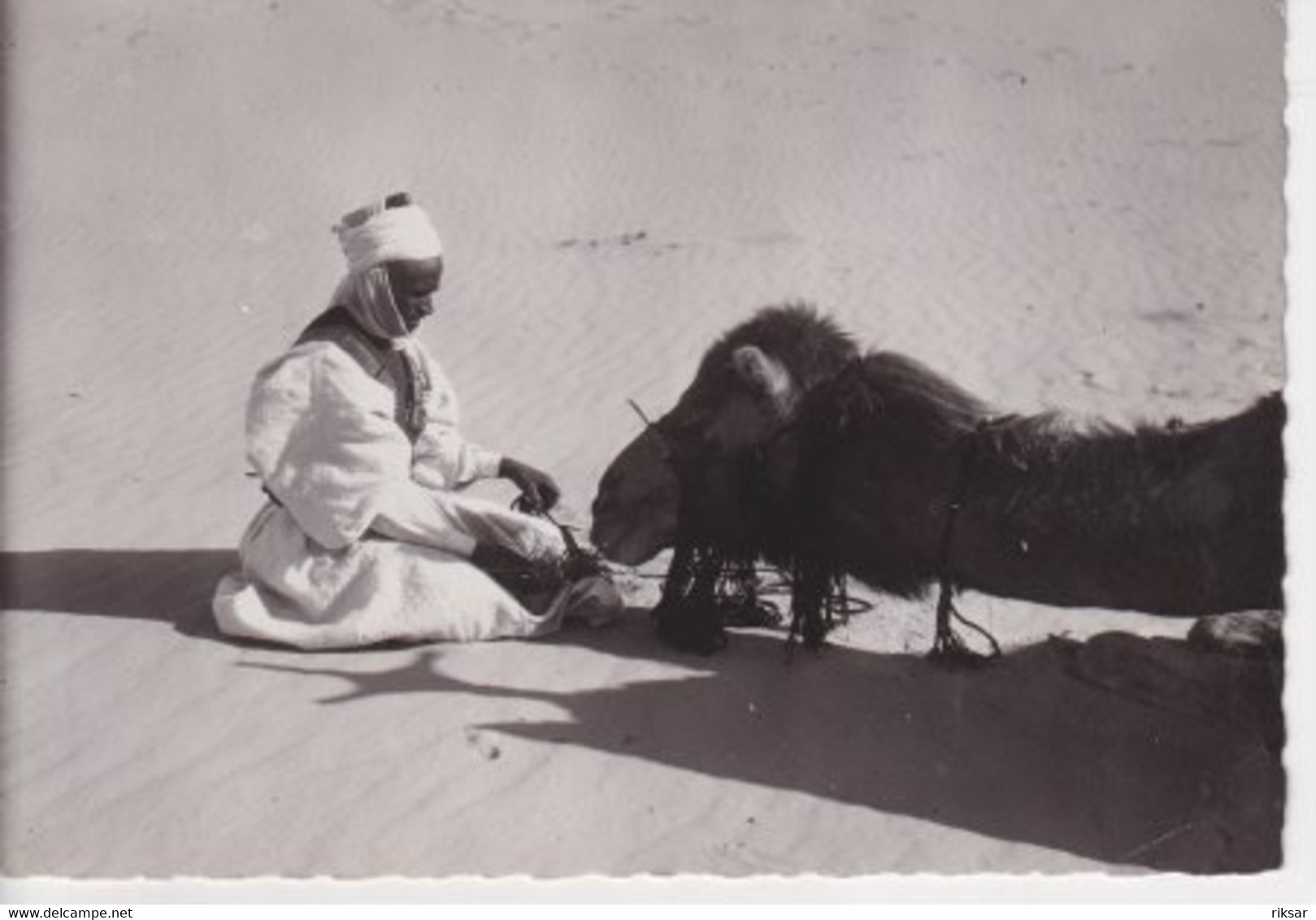 ALGERIE(TYPE)