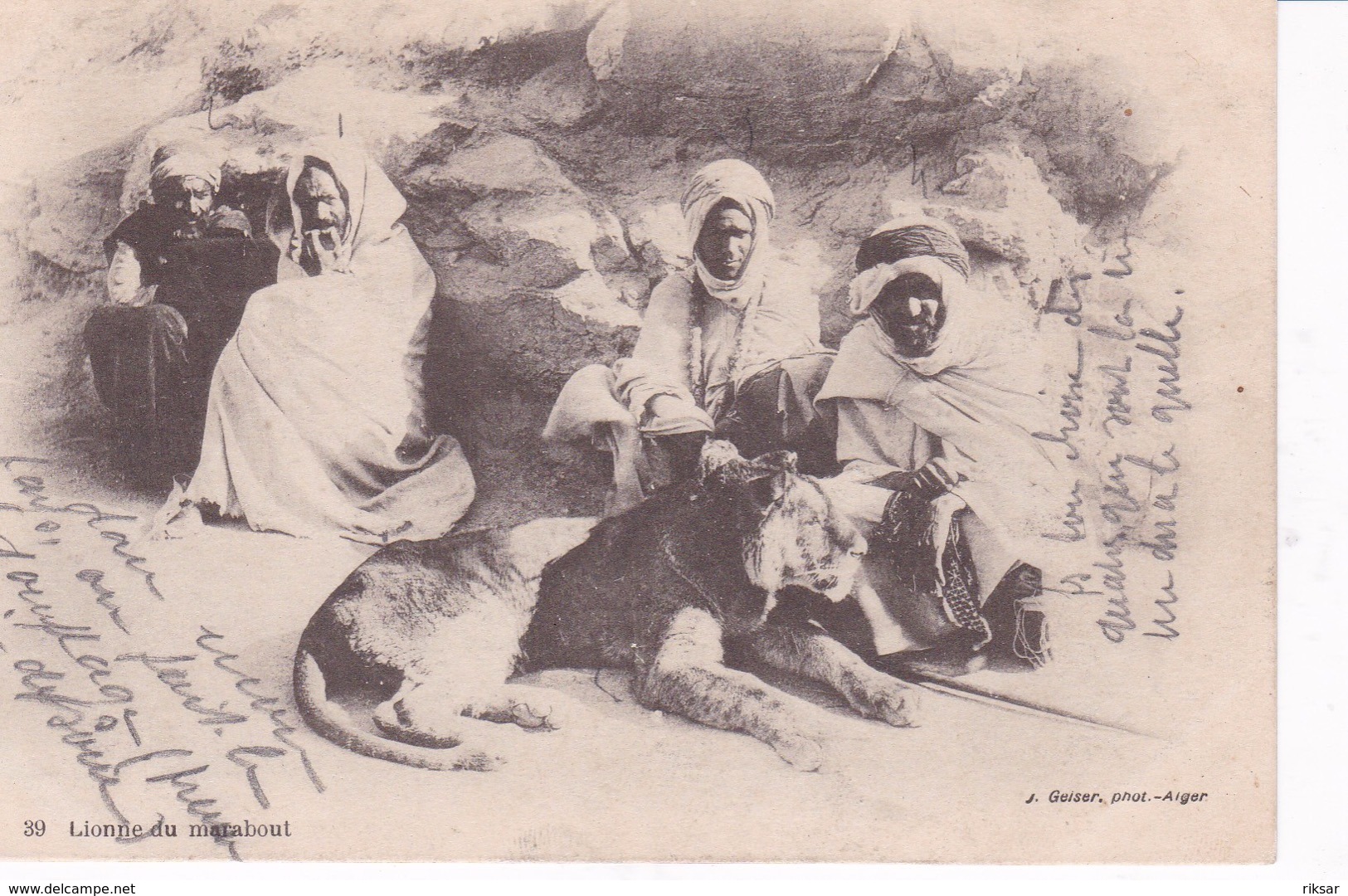 ALGERIE(TYPE) LION
