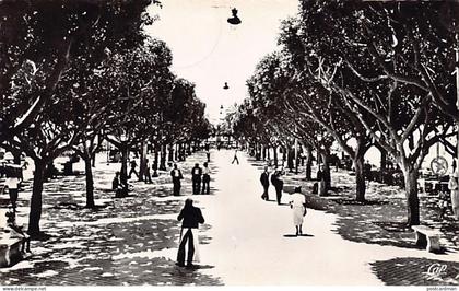 Algérie - BÔNE Annaba - Le cours Bertagna - Ed. GAP 28