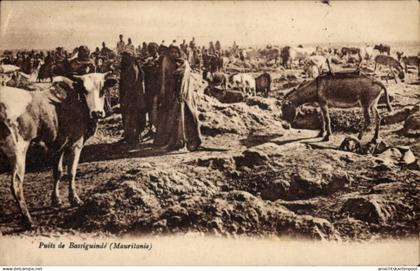CPA Mauretanien, Puits de Bassiguindé