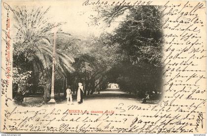 Biskra - Grande Allee