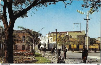 Algérie - Blida - Rue d'Alger