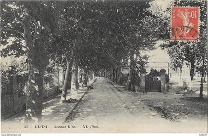 Blida - Avenue Bizol