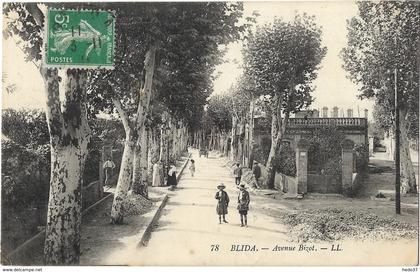 Blida - Avenue Bizot