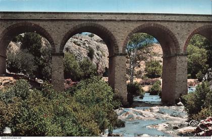 ALGERIE - Saïda - Gorges du Vieux Saïda - Pont - Arches - Rivière - Végétation - Carte Postale