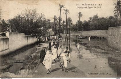Algerie CPA Scenes et types Paysage et types du sud