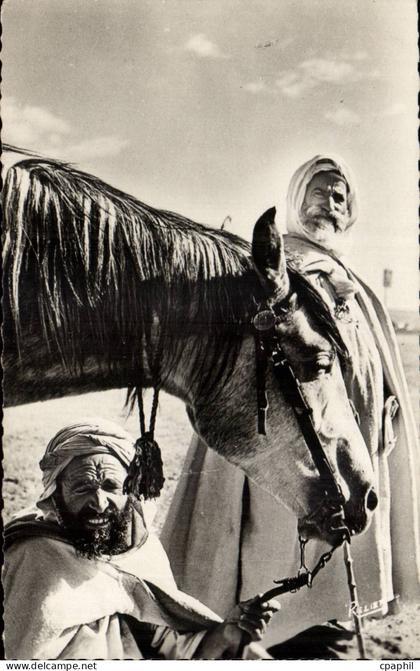 Algerie CPA Scenes et types Type d'arabe