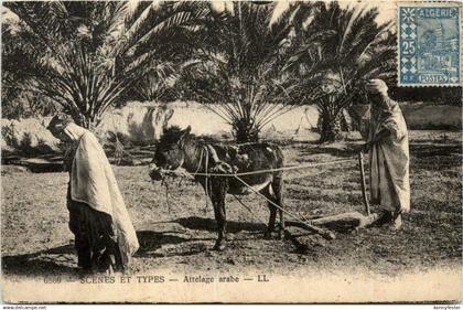 Algerie - Scenes et Types