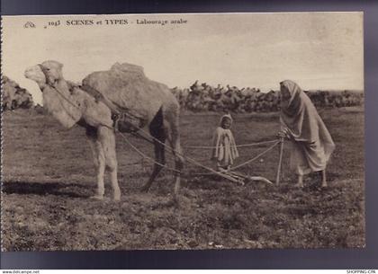 Algérie - Scènes et types - Labourage arabe - Beau plan