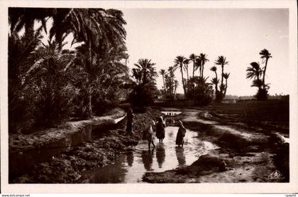 CPA Scenes Et Types Dans L'Oasis
