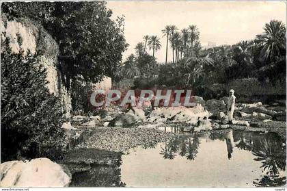 CPA Scenes et types paysage du sud