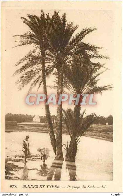 CPA Scenes et types paysage du sud
