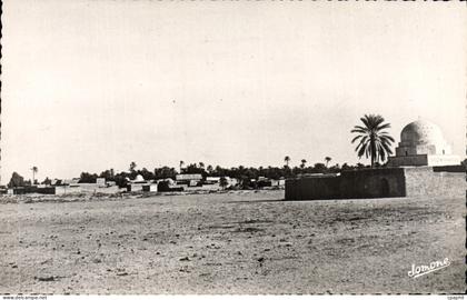 CPM Scenes Et Types Oasis Et Palmeraie
