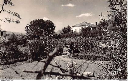 Algérie - TIZI-OUZOU - La pépinière - Ed. Jomone 71