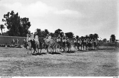 Algérie - EL-GOLEA (El Menia) - Défilé de Méharistes - Dromadaires