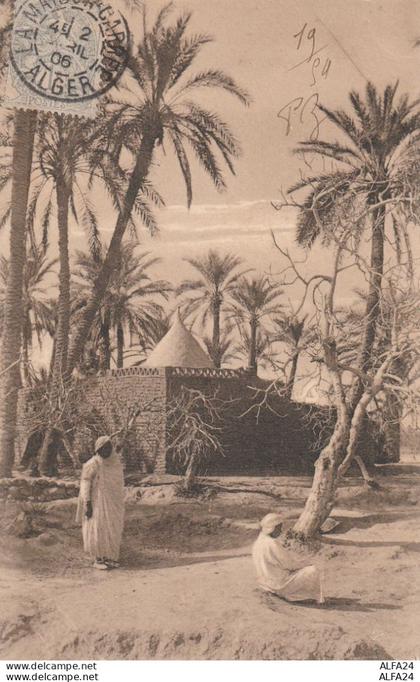 CARTOLINA ALGERIA (V_3619