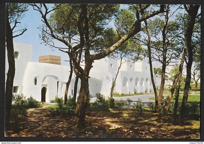 Algerie Hotel El-Riadh postcard used 1981