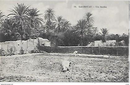 CPA Laghouat Un jardin