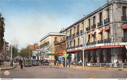 Algérie - SIDI BEL ABBES - Le Boulevard général Rollet