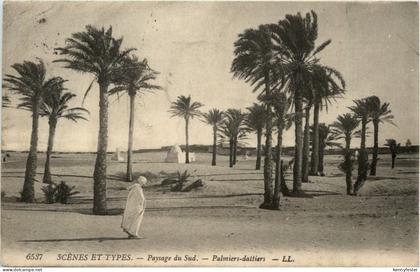 Algerien sonstige, Payage du Sud, Palmiers-daltiers
