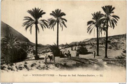 Algerien sonstige, Paysage du Sud, Palmiers Dattiers