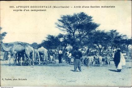 CPA Mauretanien, Arret d'une Section mehariste aupres d'un campement