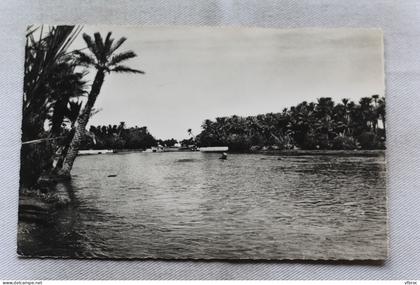 Cpsm, Colomb Bechar, l'oued Béchar en crue, Algérie