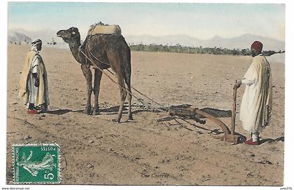 ALGERIE - Une Charrue (Carte Couleur)