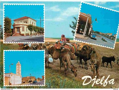 Algérie - Djelfa - Multivues - Chameaux - CPM - Voir Scans Recto-Verso