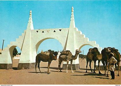 Algérie - Ouargla - Chamelier - CPM - Carte Neuve - Voir Scans Recto-Verso