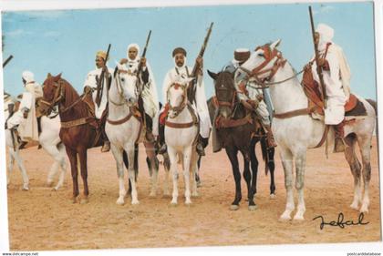 Algerie Pittoresque - La Fantasia - & horse, gun