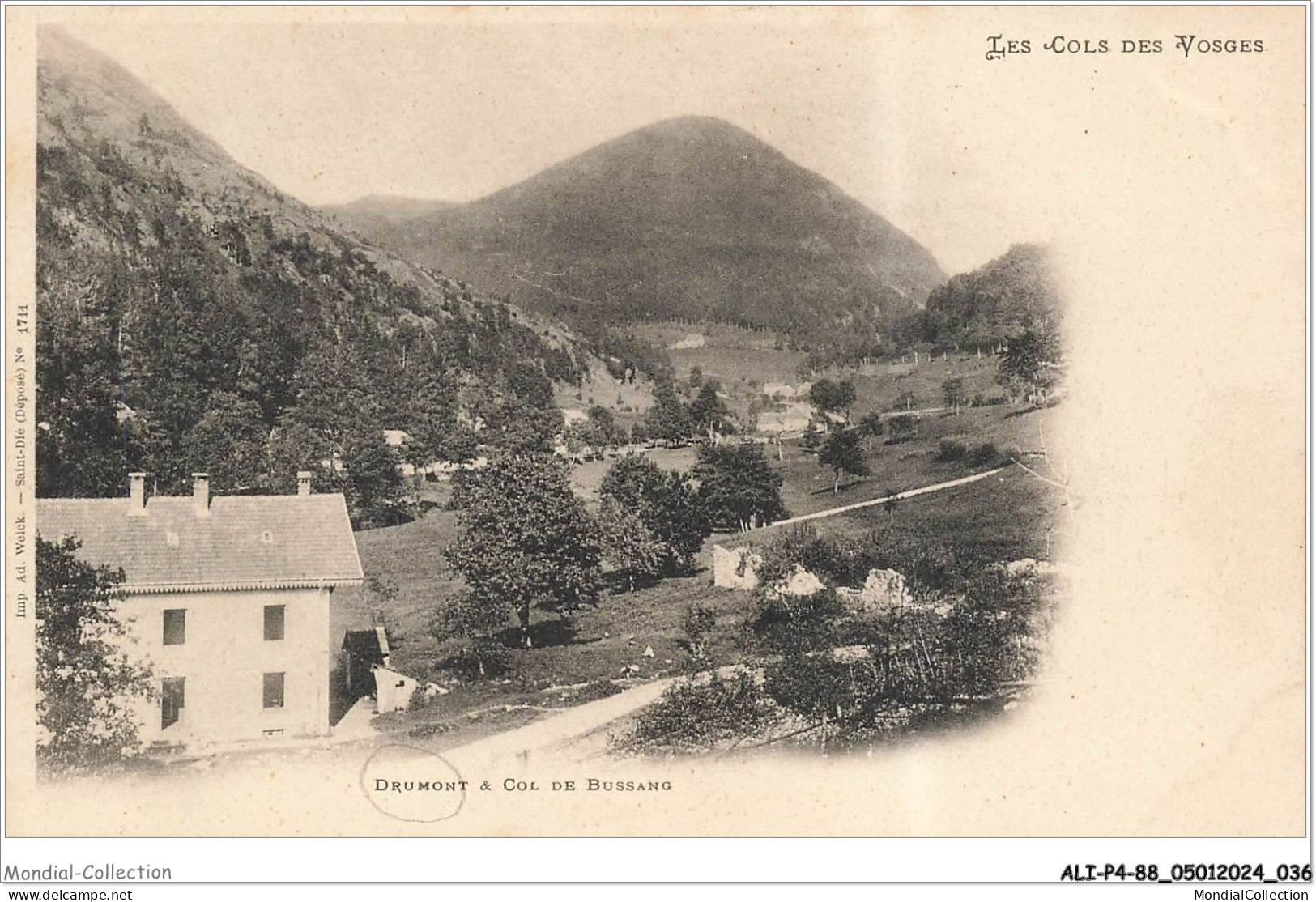 ALIP4-0319-88 - DRUMONT et COL DE BUSSANG